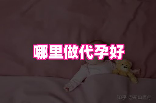 海口助孕网站 4